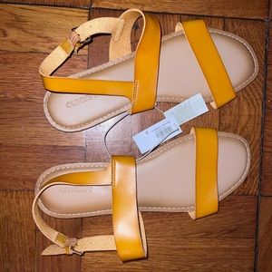 Summer Sandals